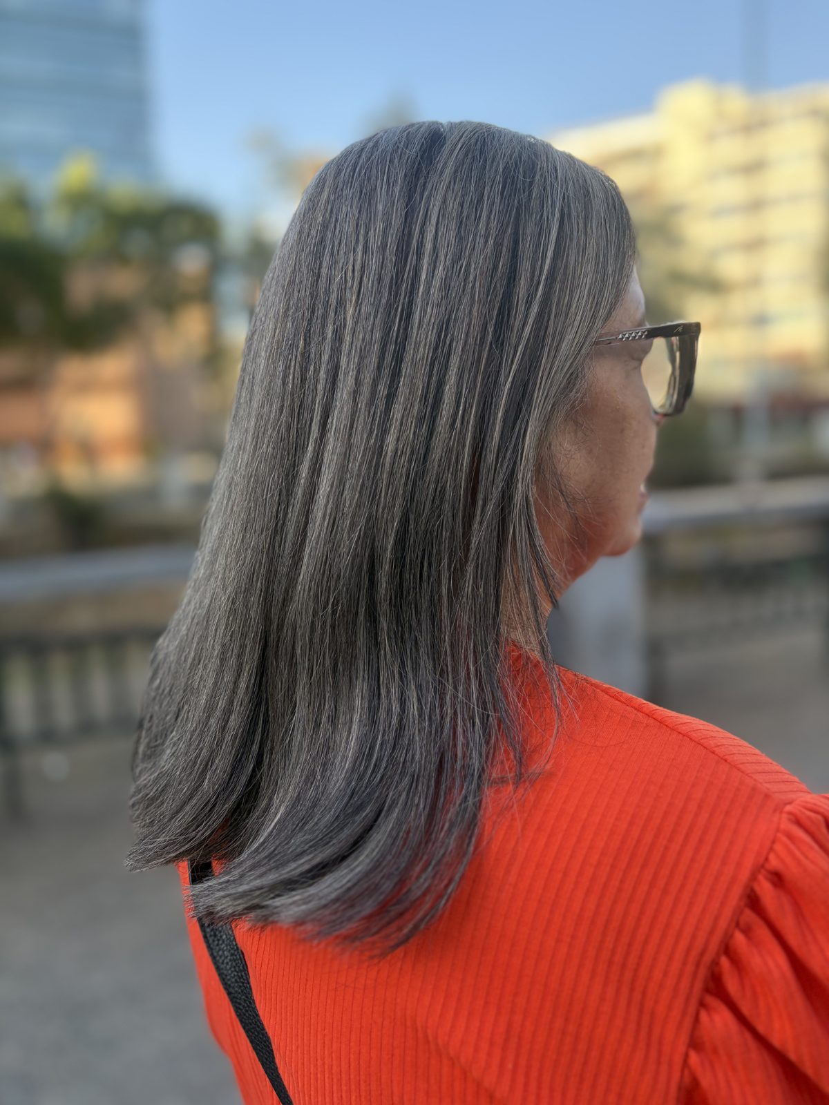 Transición de canas realizada en Vall Studio Boutique
